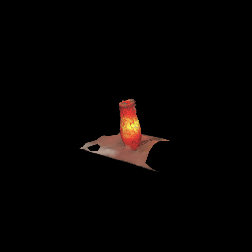 lamp